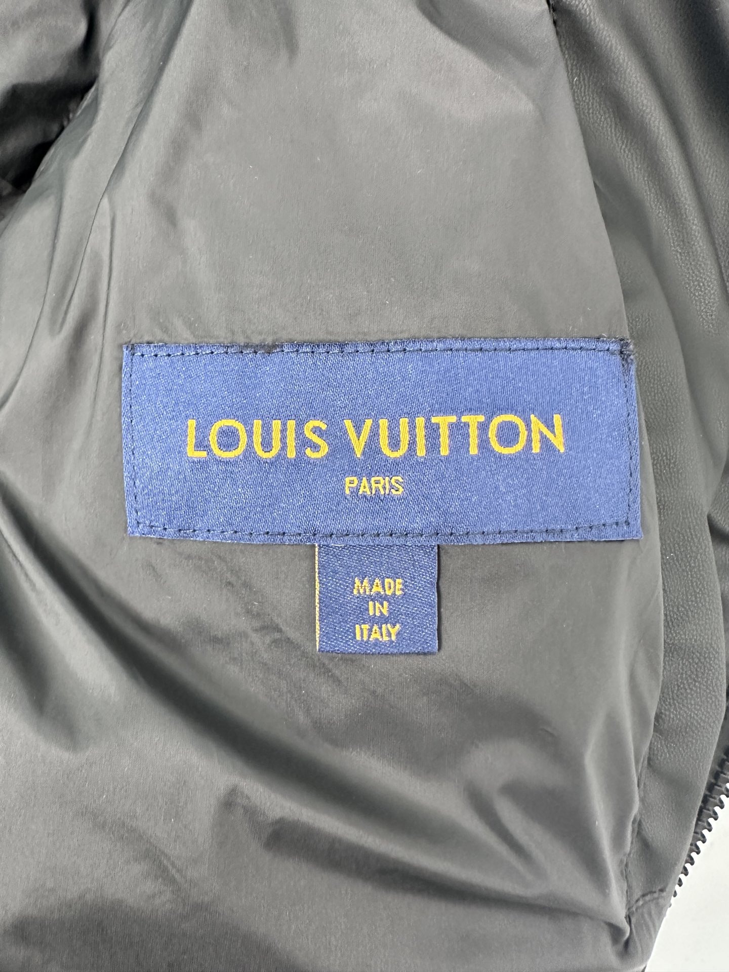 Louis Vuitton Down Jackets